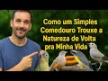 🌿 Transformei Meu Quintal em Paraíso dos Pássaros – Veja o Resultado!