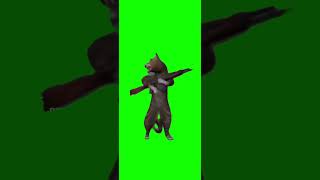 Ak-47 Cat Greenscreen