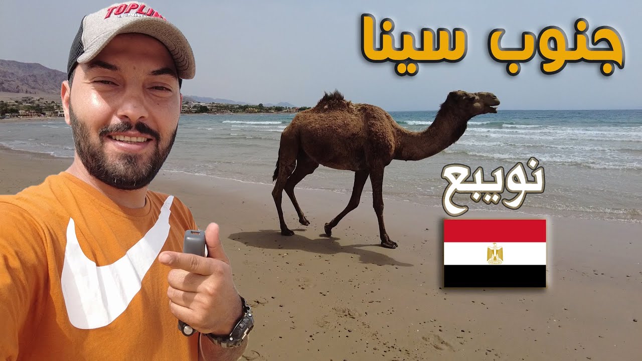 جنوب سينا | مدينة نويبع #مدينة_قديمة  #نويبع #مصر #جنوب_سينا #الترابين #بدو_سينا #المحتوى_الرائج