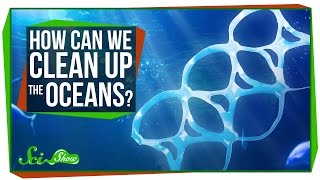 How Can We Clean Up the Oceans?