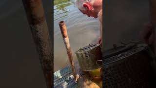 Filtrowanie ryb i żmij 😃 Jezioro Szkoderskie szlakiem Zorana 💥Amazing Skadar Lake 💥