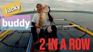 Lucky buddy on his 2nd day || Rusty jobfish || GTs strike again