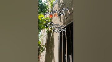 لحظة من القرآن تمس القلب🤍💙 #القرآن_الكريم #اكسبلور #آيات_الرحمة #المصحف #الرحمن #تلاوة