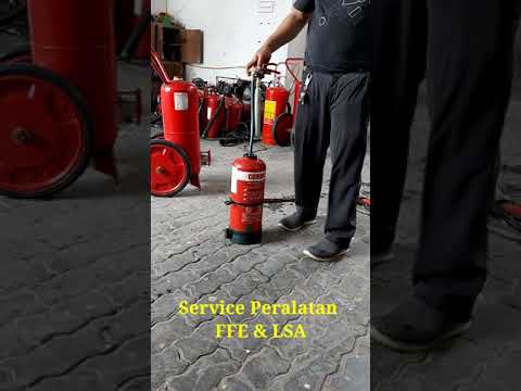 Service LSA  & FFE