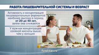 Сколько времени переваривается пища?