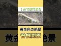 【まるで別世界】曽爾高原のススキが圧巻だった #曽爾高原#奈良観光#関西絶景#ススキ#ハイキング#関西ドライブ#国内旅行#自然スポット#関西旅行#絶景