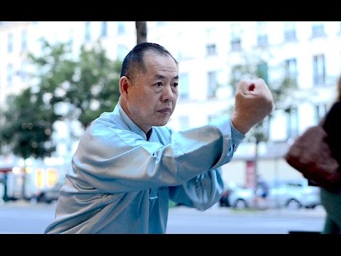 Snake style - Wang Li Kun, the real Tai Chi master (9ème dan)