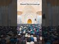 maszid Mai bhi jayenge aye mahe Ramzan #ramadan #iclamic #ramadan #eid #india