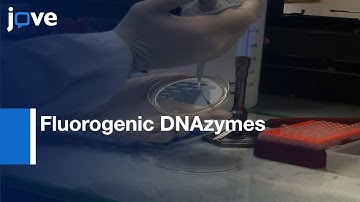 Detection Of Bacteria Using Fluorogenic DNAzymes l Protocol Preview