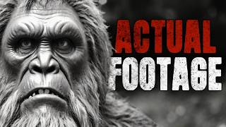 Top 13 CREEPIEST Bigfoot Videos EVER 2024