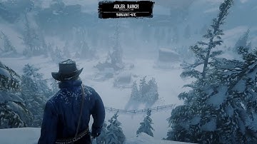 What happens if you visit Adler