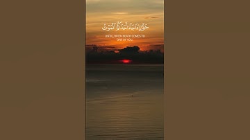 وهو القاهر فوق عباده                                 تلاوة من سورة الأنعام