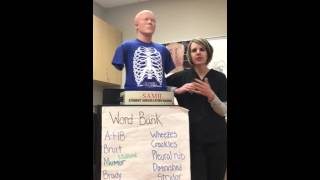 Heart Sounds Played On Samii