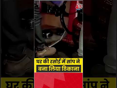 Viral Video: घर की रसोई में सांप ने बना लिया ठिकाना #viral #aajtak #shorts #snake
