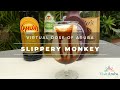 Join Our Slippery Monkey Happy Hour