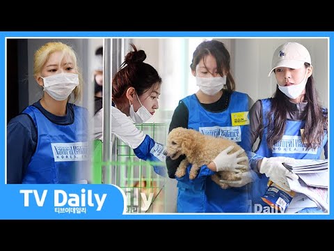 트와이스 정연(TWICE JeongYeon)-공승연(<strong>Gong</strong> <strong>SeungYeon</strong>)-이태환(Lee TaeHwan) ‘유기견 봉사활동 나선 스타들’