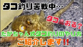 【タコ釣り】陸っぱりタコ釣り苦戦中たかちゃん式タコ釣りのやり方をご紹介‼️夜釣り  タコ釣り  陸っぱり