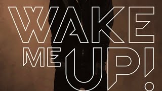 Download Lagu Avicii - Wake Me Up [Remastered] MP3