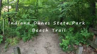 Indiana Dunes State Park Beach Trail