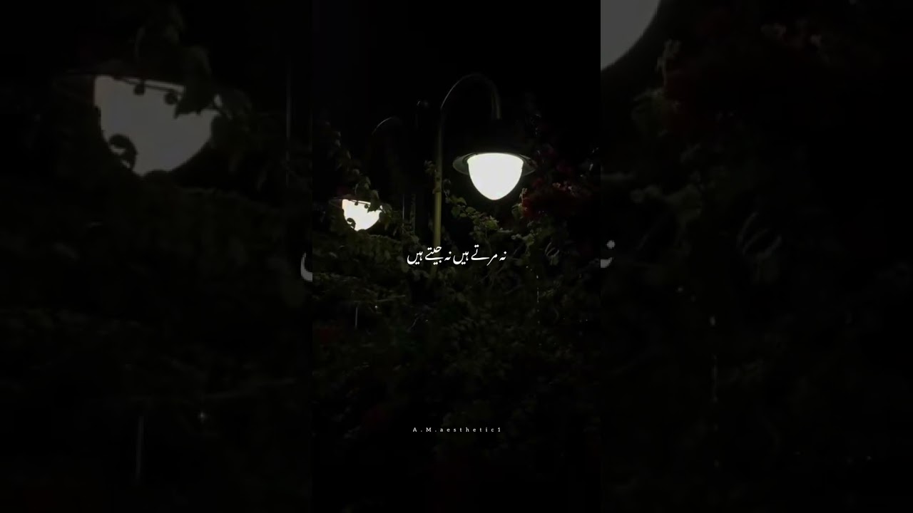 Taswar ke hassi lamhe song most beautiful song 💯😘😘.New account please support me everyone ❤️❤️