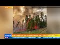 Лесные пожары в Карелии не удается взять под контроль