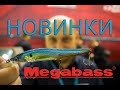 Воблеры для глубины и мелководья. Новинки Megabass. Выставка охота и рыболовство на Руси.