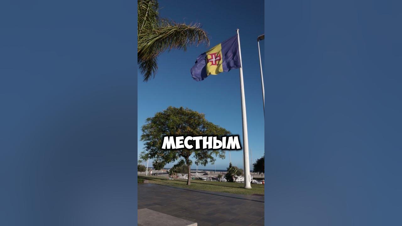 Удивительный ФЛАГ! Вы НЕ ОЖИДАЕТЕ такой истории! Живу в Португалии на ...