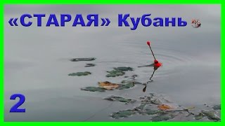 рыбалка, Старое русло реки Кубань. 