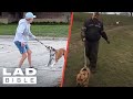 Best dog walking fails on the internet    ladbible