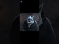 wholf a dathe