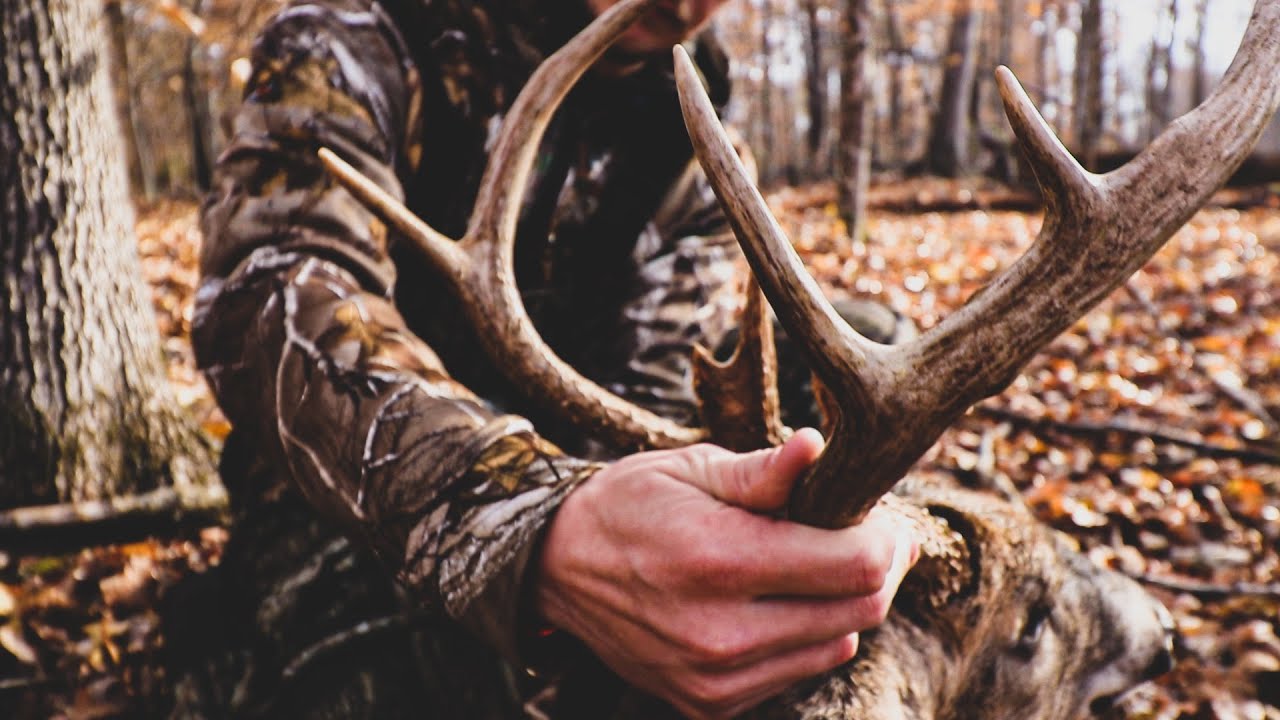 BACK TO BACK TENNESSEE RUT HUNTS YouTube