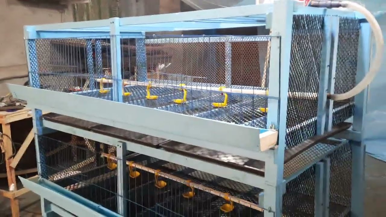 بطارية الدواجن الخشب ×معدن سعة ١٠٠فرخ فك وتركيب شغل عالي وهندسة