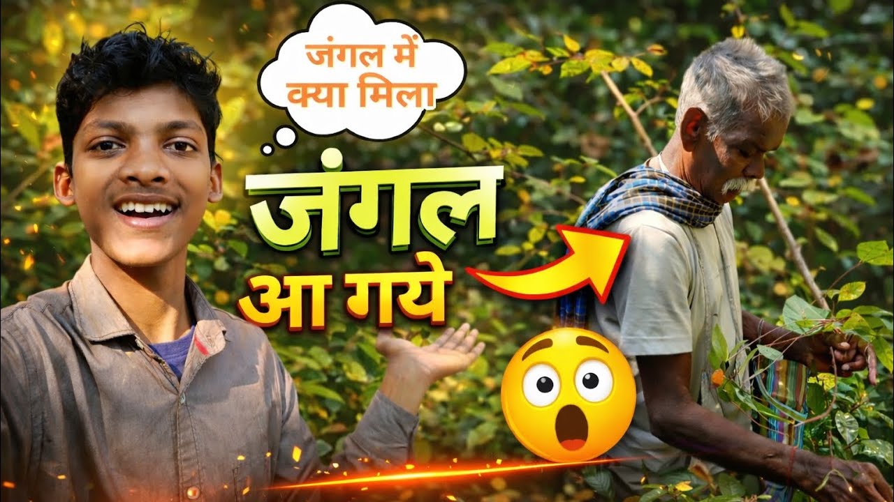 हम जंगल में क्यों गए? और क्या मिला… 🤔🌳