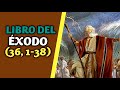 Padre José Gregorio Medina/ Santa Biblia Hablada|Libro del Éxodo 36, 1-38