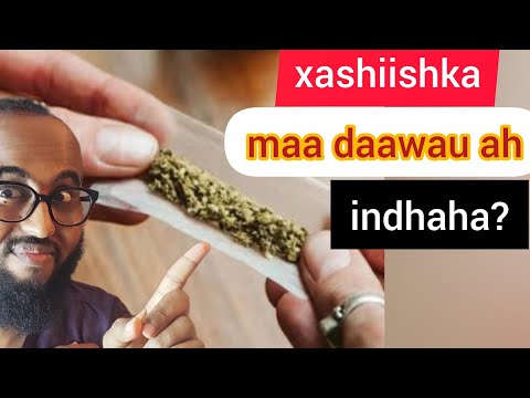 Xashiish ka maa daawa u ah indhaha?