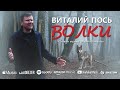 Виталий Пось - Волки