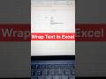 Wrap Text in Excel #shorts #computer #excel #short