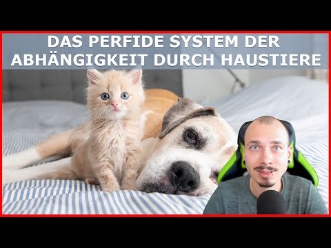 Video: Was ist ein inkonsistentes und abhängiges System?