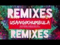 Usangikhumbula (Johny Miller Vip Remix) Kid Fonque, Cuebur, Andyboi, Okmalumkoolkat