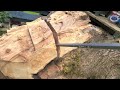 Cracking a stump 4K HDR