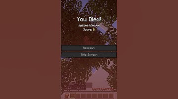 Pranking a YouTuber with your Dumb Idea #knarfy #minecraft #mods