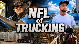 Loading Cattle for Transport. Ride Along with a Livestock Trucker.