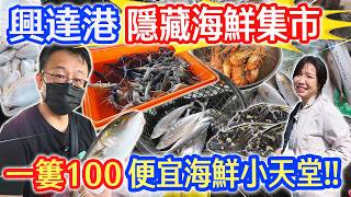 興達港情人碼頭 現撈海鮮 2000元挖寶 便宜海魚1隻20元 紅魽 龍虎斑 透抽 花枝 泰國蝦  再抽折疊保冰推車3台｜乾杯與小菜的日常