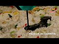 TVC Bango Hitam Gurih 2022 5s 