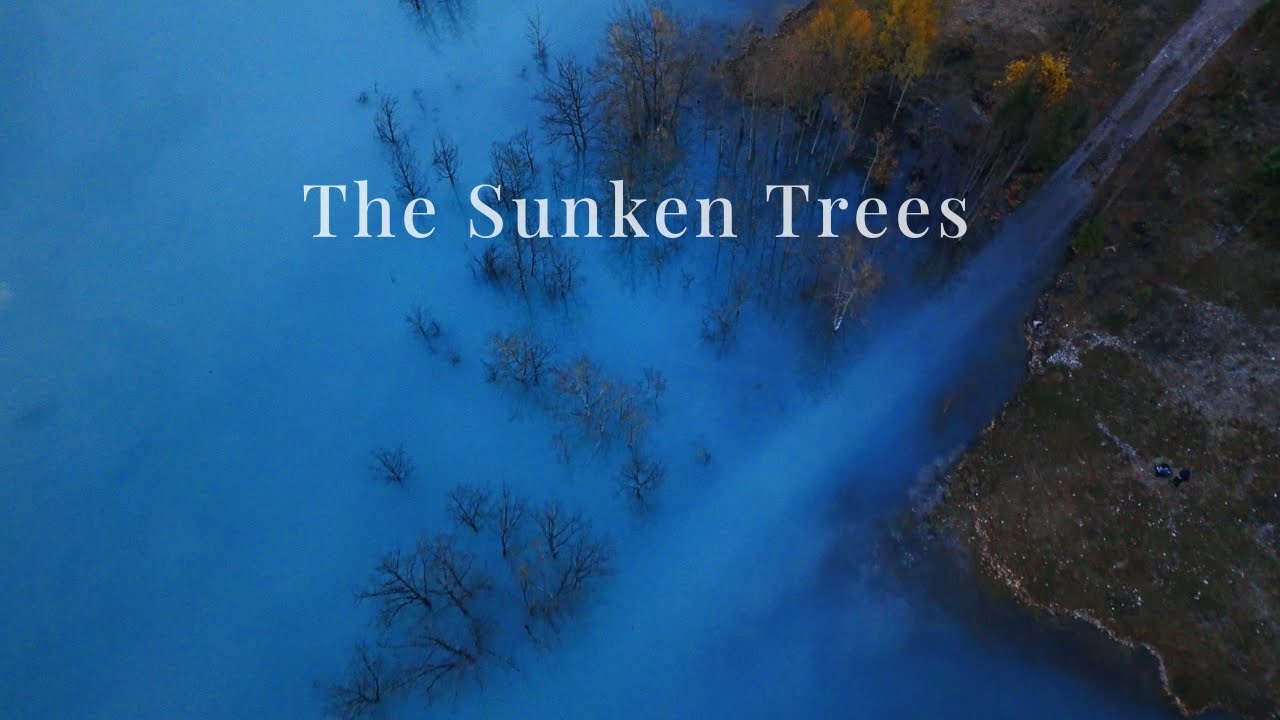 The Water That Inspired Us: A Journey to Abraham Lake & The Rockies