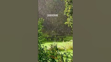 Thumbnail of Rain Sound and Rainforest Animals Sound, Relaxing Sleep