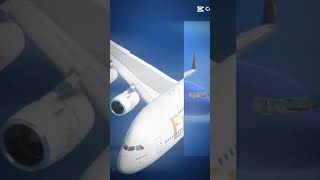finally got infinite flight pro