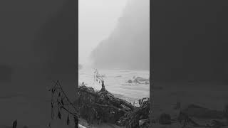 现场画面！西藏吉隆县遭受泥石流灾害，造成重大人员伤亡、失联。#熱門 #中国