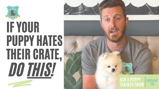 If Your Puppy Hates Their Crate, Do This! | AAPTS Ep. 115