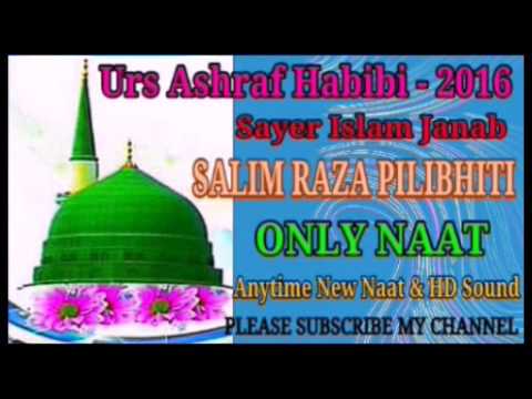 Salim Raza PilibhitiJab Kabhi Jalwa Dikhate Hain MadinawaleNew Letest Naat2016